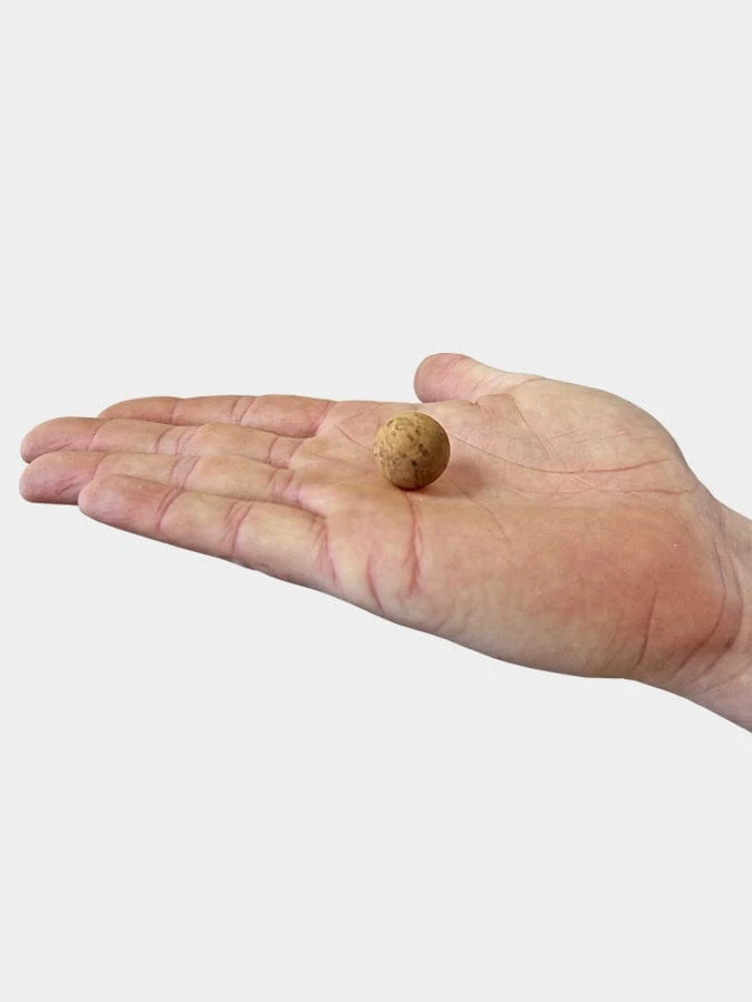 Yoga Studio Cork Unbranded Massage Ball - 2cm 6 Yoga Studio Cork Unbranded Massage Ball - 2cm - Image 4