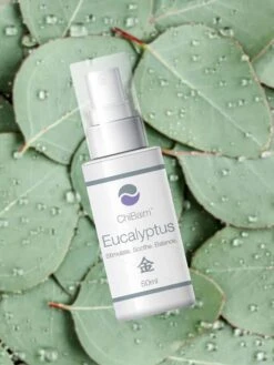 ChiBalm Spray 50ml 19 ChiBalm Spray 50ml -Yoga Supply Store hgqkuspbe2s